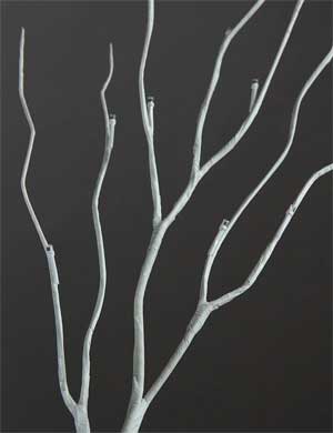 White Birch Branch with Lights Turned Off