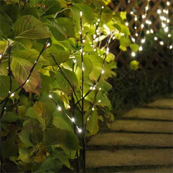 Decorative Branch Lights Outdoors
