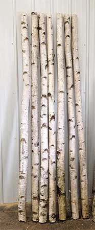 White Birch Poles for Home Decor