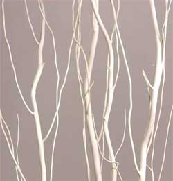 White Pained Willow Branches for Home Decor